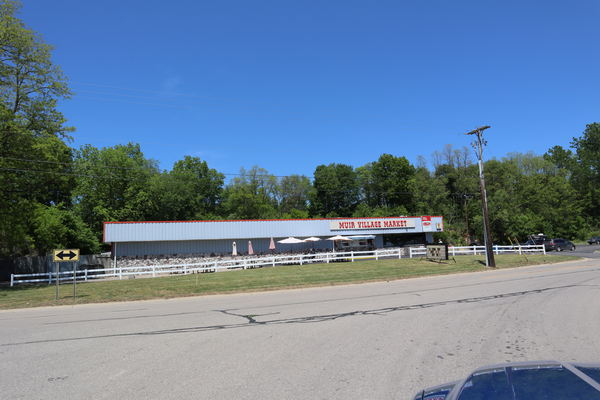 Muir - May 2021 Photo (newer photo)